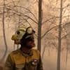 Incendies en Espagne : "Le village de ma mère, il n'en reste que des cendres", confie une habitante de Galice, où les feux continuent de progresser