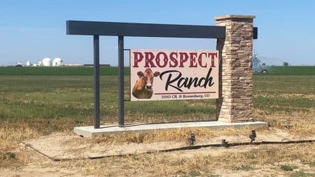 Six found dead at dairy farm