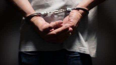 Britain’s cops are not equipped to fight fraud, damning new report reveals