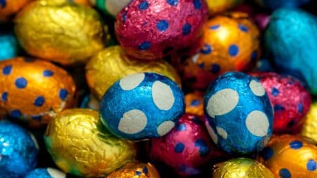 Urgent pet warning over ‘toxic’ Easter treats that could be deadly – how to avoid huge vet bill this weekend