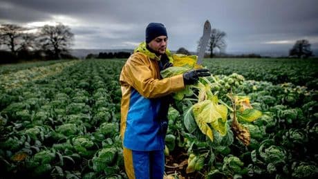 Visa: Großbritannien will auch legale Migration einschränken
