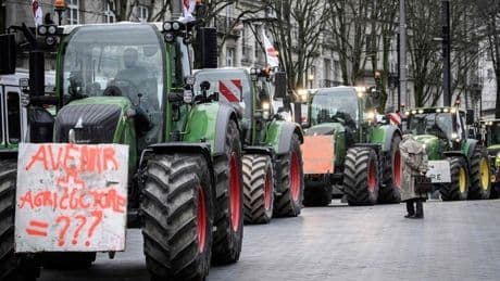 Bruselas asegura que la simplificación administrativa de la PAC permitirá ahorrar hasta 1.800 millones de euros al año