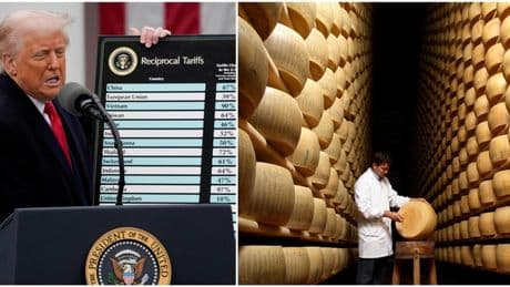 Dazi, ira del consorzio Grana Padano: «Atto di guerra, Trump nemico. In Usa formaggio salirà a oltre 50 dollari al Kg»