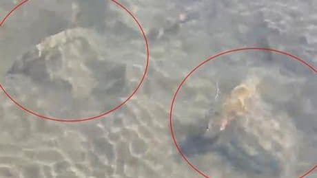 İznik Gölü’nün dibinde fark edildi! Uzmanlar bölgede