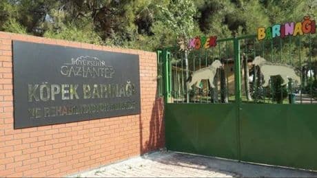 Gaziantep'teki vahim iddialara belediyeden yanıt