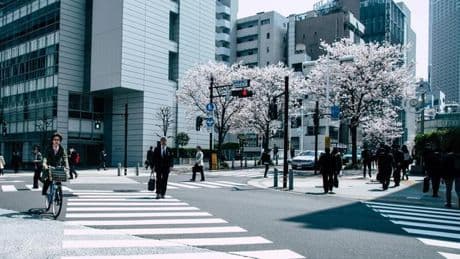 Un manga japonés causa el caos: cancelaciones masivas de viajes por una predicción antigua supuestamente acertada