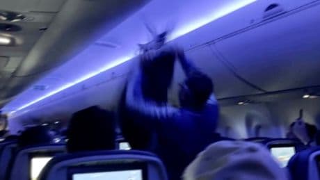 Delta flight delayed because 2 pigeons sneaked aboard a plane in Minneapolis