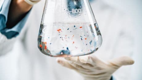 Alarmierende Studie zeigt: Das passiert, wenn Mikroplastik ins Gehirn gelangt