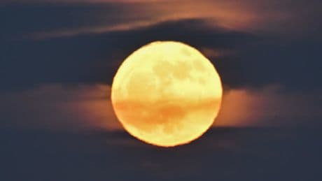 Solsticio de verano, lluvias de estrellas y una Luna de Fresa: los eventos astronómicos de junio de 2025