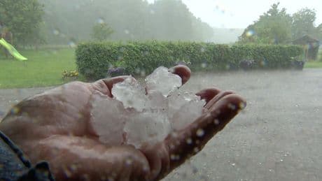 Limburg getroffen door noodweer: hagelstenen van 2 centimeter