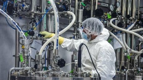 Covid, la nuova variante LP.8.1 cresce in Europa e in Italia: quali sono i sintomi? «Sfugge a difese immunitarie»