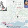 Lost dog went on incredible 40-mile journey for five weeks and even swam to an island before being found