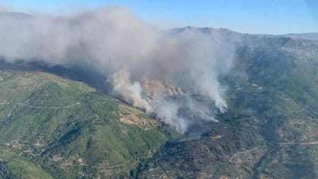 Las llamas arrasan Ávila... las imágenes del incendio iniciado entre Mombeltrán y Cuevas del Valle