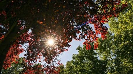 Wetter: Neue Woche beginnt sommerlich