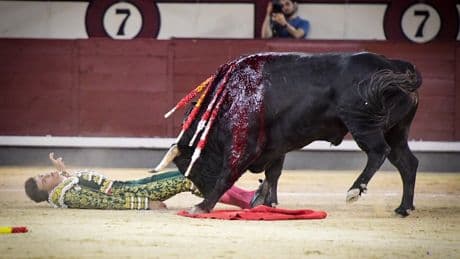 Espeluznante cogida de Mariscal Ruiz en medio de un ambiente enrarecido de broncas y vivas en Las Ventas