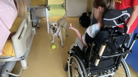 Sma, al Besta studio benefici pet therapy con Purina e Frida’s Friends