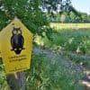 „Angriff auf die Zivilgesellschaft“: Brandenburger Naturschützer übergeben Petition gegen umstrittenes Gesetz