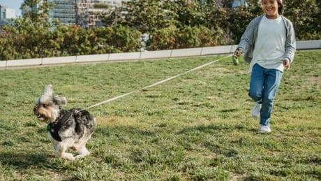 Convivir con perros favorece el bienestar emocional y la salud física de los niños