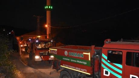 Sinop'ta orman yangını: 22 hektarlık alan kül oldu
