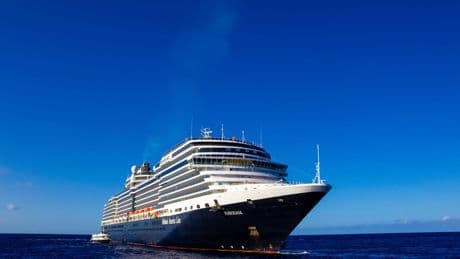 New ‘dominant’ strain of norovirus sparking outbreaks on cruise ships