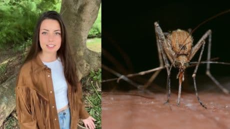 Laura Pinillas, bióloga: “La marca que te aparece después de que te pique un mosquito es por tu culpa”