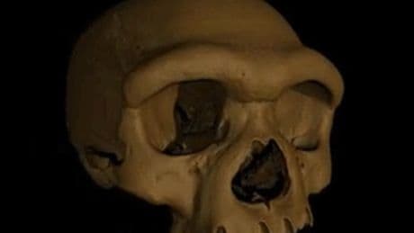 Haunting ‘Dragon Man’ skull is first ever found from lost human cousin ‘Denisovan’ species that lived 217,000 years ago