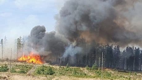 Wartime bombs explode as fire rips across Yorkshire moorland