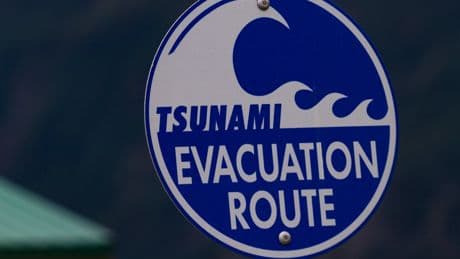Tsunami alerts issued in multiple countries after major earthquake off Russia: Live updates