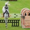 Reitsport: CHIO: Deutsche Serie im Großen Preis endet