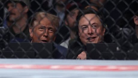 ‘Lost his mind’: Fallout from Trump-Musk feud shows quick truce unlikely