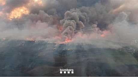 Las imágenes del día: incendios y calor, naturaleza en estado crítico