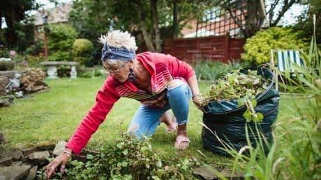 Gardeners told to do two important jobs in May or 'lose control'