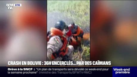 Bolivie: 36h encerclés par des caïmans après le crash d'un avion