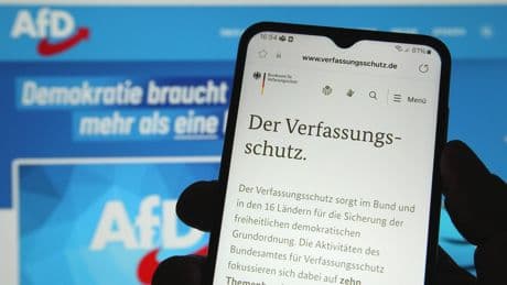 "Spiegel" wertet 1108 Seiten aus: Brisante Enthüllung: Das steht im AfD-Gutachten des Verfassungsschutzes