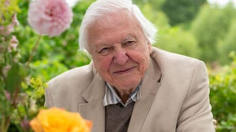 Who can – or could – ever replace David Attenborough?
