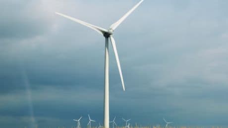 Forscher sind alarmiert: Das ist die neue Gefahr für Windräder