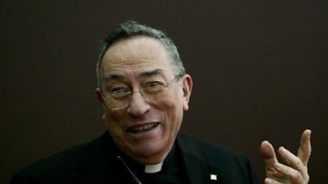 «Hay cardenales con tortícolis que quieren mirar para atrás»