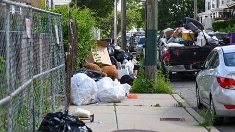 USA: Proteste zum Nationalfeiertag [Online-Abo]