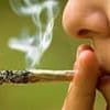 Police are AFRAID to stop and search suspected cannabis users, officers say