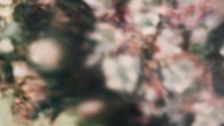 Losing Vision and Seeing a New World