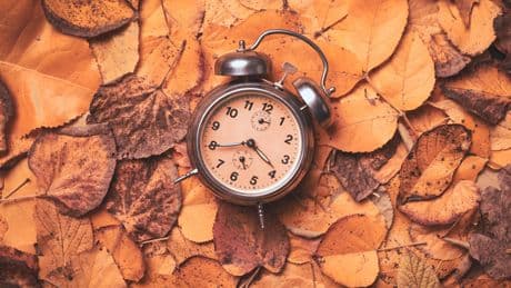 Pourquoi les feuilles des arbres tombent-elles si tôt cette année ?