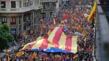 ¿Cómo y a quién se ha aplicado la amnistía en este año?