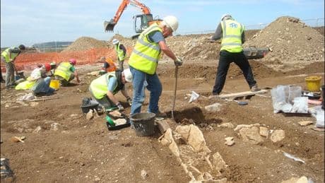 DNA testing of 1,400-year-old skeletons reveals ethnic diversity of early England