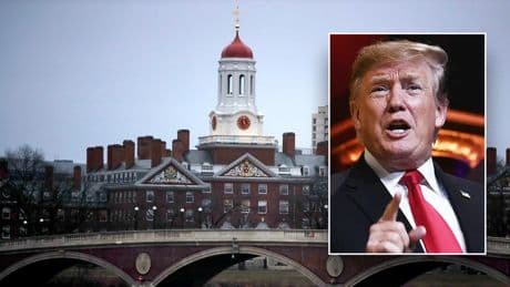 Federal judge blocks Trump administration from terminating international students' legal status