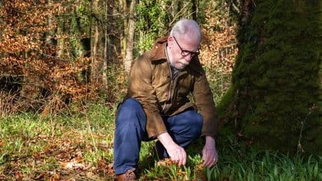 Scotland's varied coastlines and coastal forests named top spots for foraging across UK