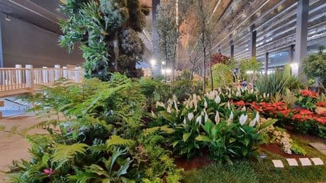 Euroflora tira le somme, quasi 200mila i visitatori