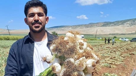 Sarımsakları daha iyi yetiştirmek için mühendis oldu