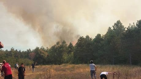 Sakarya'daki orman yangını kontrol altına alındı