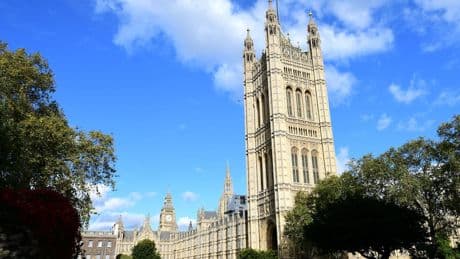 Cats ruled out for parliamentary pest patrols over welfare concerns