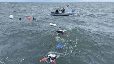 Zes jaar na ramp met MSC Zoe hebben wrakduikers 350.000 kilo troep opgeruimd